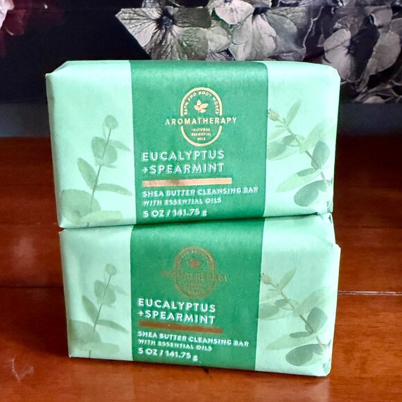 NEW 2-Pc Aromatherapy Eucalyptus + Spearmint Cleansing Bars Bath & Body Works - Picture 1 of 3